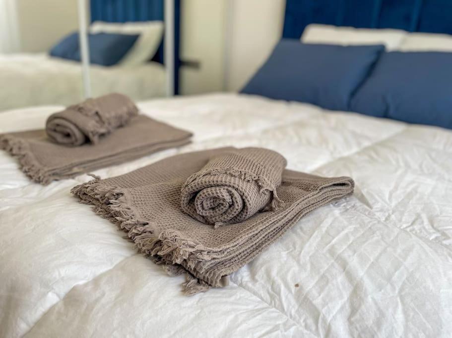 Le Lagon Bleu - Appt Wifi Parking Balcon Le Puy-en-Velay Eksteriør billede