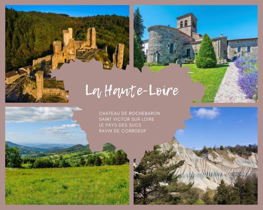 Le Lagon Bleu - Appt Wifi Parking Balcon Le Puy-en-Velay Eksteriør billede