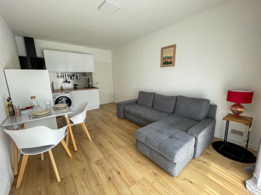 Le Lagon Bleu - Appt Wifi Parking Balcon Le Puy-en-Velay Eksteriør billede
